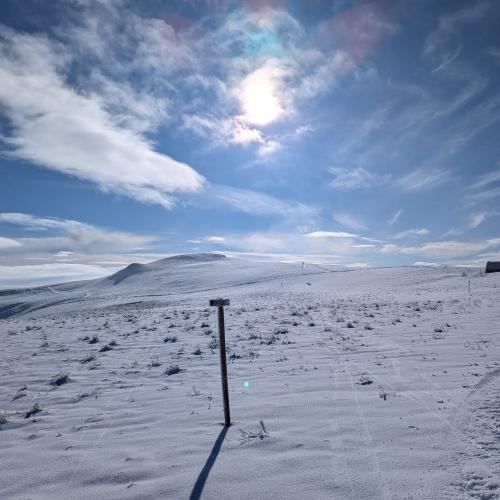 Occitanie Rando Randonnee Raquettes Laguiole Aubrac La Maison Top 276