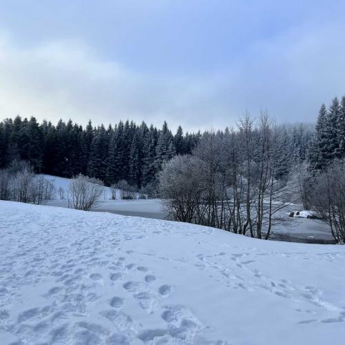 Occitanie Rando Randonnee Raquettes Laguiole Aubrac La Maison Top 37