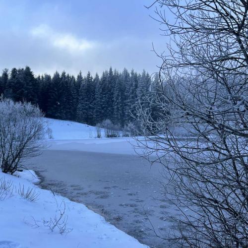 Occitanie Rando Randonnee Raquettes Laguiole Aubrac La Maison Top 38