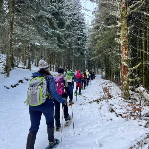Occitanie Rando Randonnee Raquettes Laguiole Aubrac La Maison Top 40