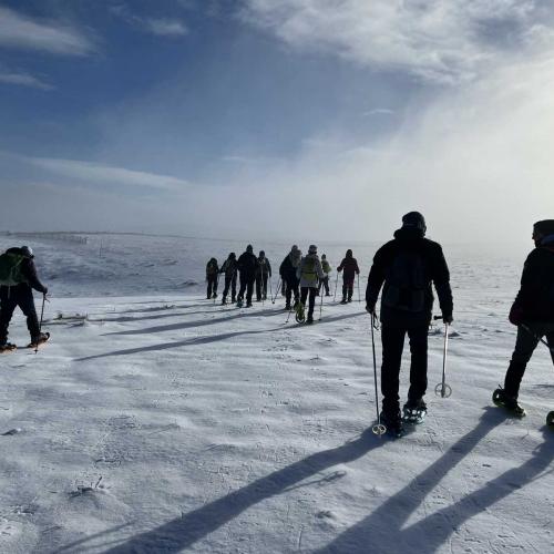Occitanie Rando Randonnee Raquettes Laguiole Aubrac La Maison Top 70