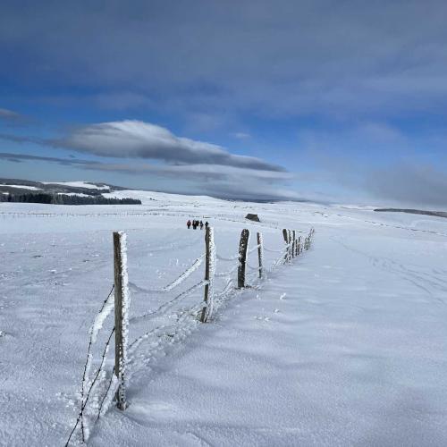 Occitanie Rando Randonnee Raquettes Laguiole Aubrac La Maison Top 93