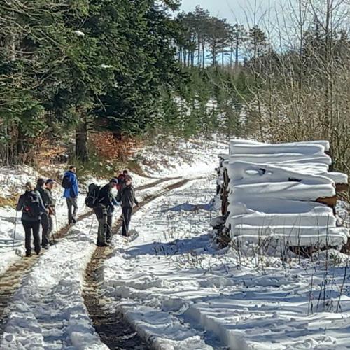 Occitanie Rando Randonnee Roqueredonde Foret Escandorgues Neige 04