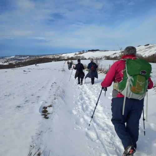 Occitanie Rando Randonnee Roqueredonde Foret Escandorgues Neige 06