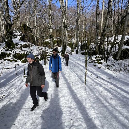 Occitanie Rando Randonnee Roqueredonde Foret Escandorgues Neige 105