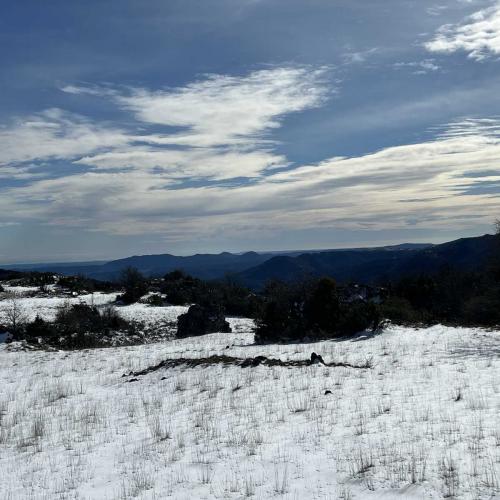 Occitanie Rando Randonnee Roqueredonde Foret Escandorgues Neige 107