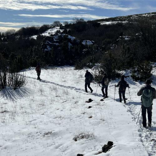 Occitanie Rando Randonnee Roqueredonde Foret Escandorgues Neige 108