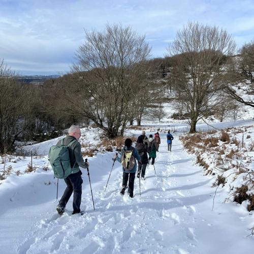 Occitanie Rando Randonnee Roqueredonde Foret Escandorgues Neige 113