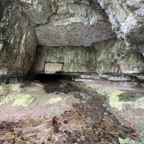 Occitanie Rando Randonnee Roqueredonde Foret Escandorgues Neige 120