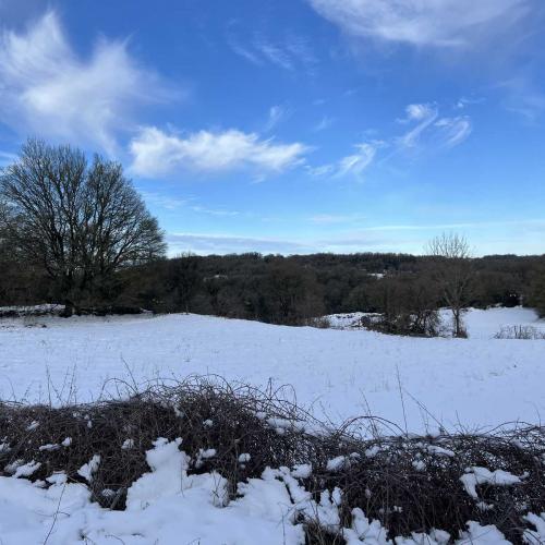 Occitanie Rando Randonnee Roqueredonde Foret Escandorgues Neige 14