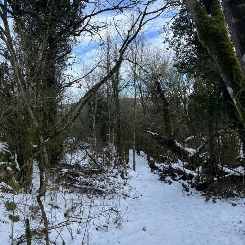 Occitanie Rando Randonnee Roqueredonde Foret Escandorgues Neige 15