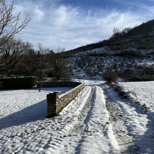 Occitanie Rando Randonnee Roqueredonde Foret Escandorgues Neige 33