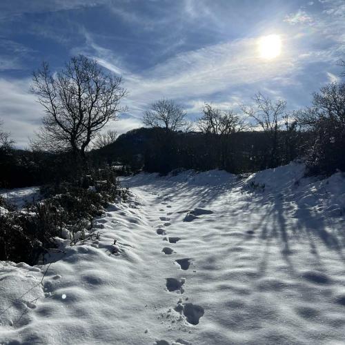 Occitanie Rando Randonnee Roqueredonde Foret Escandorgues Neige 37