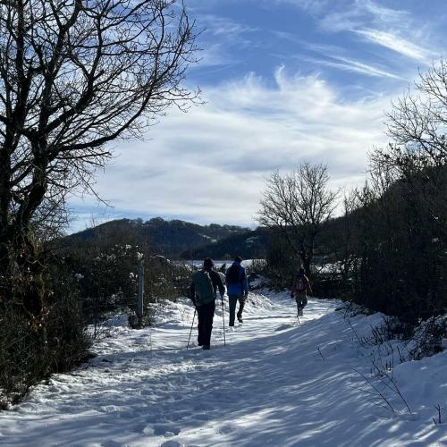 Occitanie Rando Randonnee Roqueredonde Foret Escandorgues Neige 40