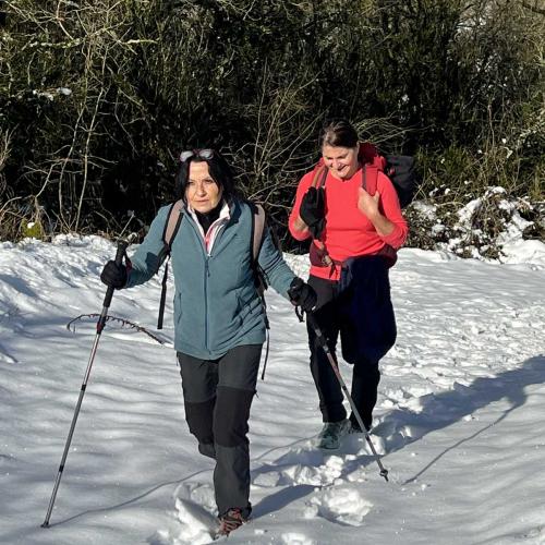 Occitanie Rando Randonnee Roqueredonde Foret Escandorgues Neige 45