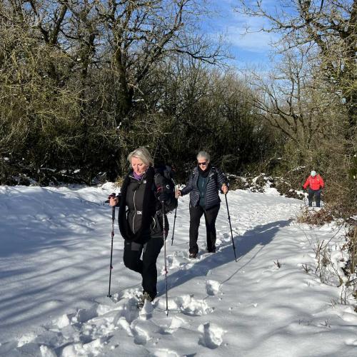 Occitanie Rando Randonnee Roqueredonde Foret Escandorgues Neige 49