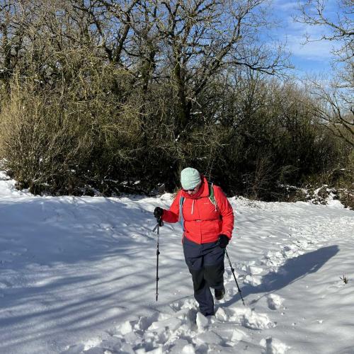 Occitanie Rando Randonnee Roqueredonde Foret Escandorgues Neige 51
