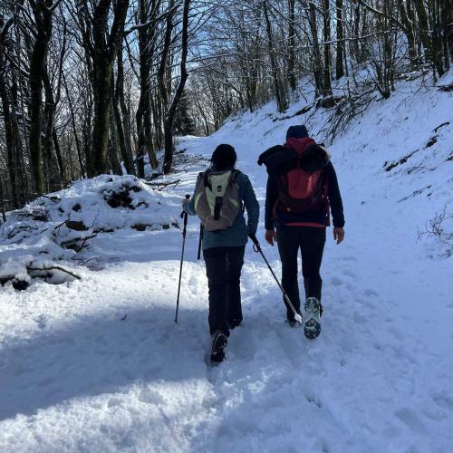 Occitanie Rando Randonnee Roqueredonde Foret Escandorgues Neige 68