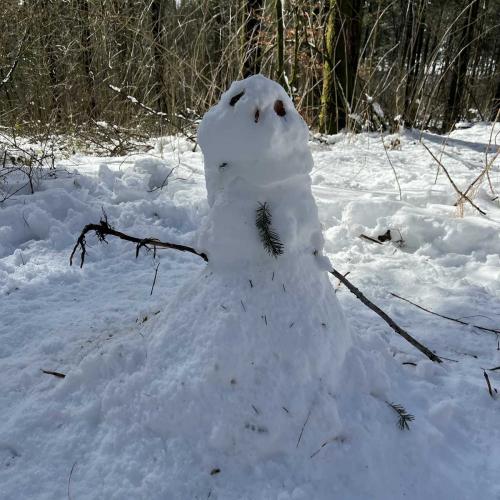 Occitanie Rando Randonnee Roqueredonde Foret Escandorgues Neige 80