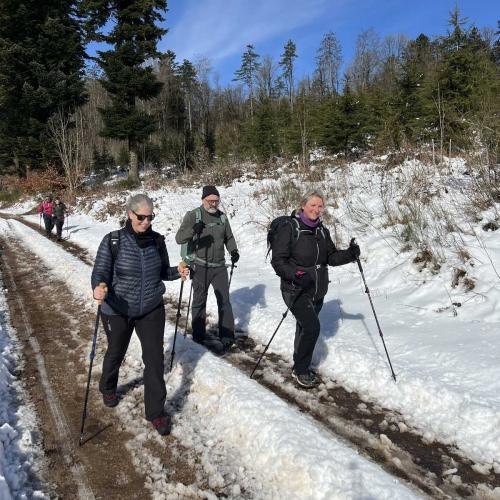Occitanie Rando Randonnee Roqueredonde Foret Escandorgues Neige 82