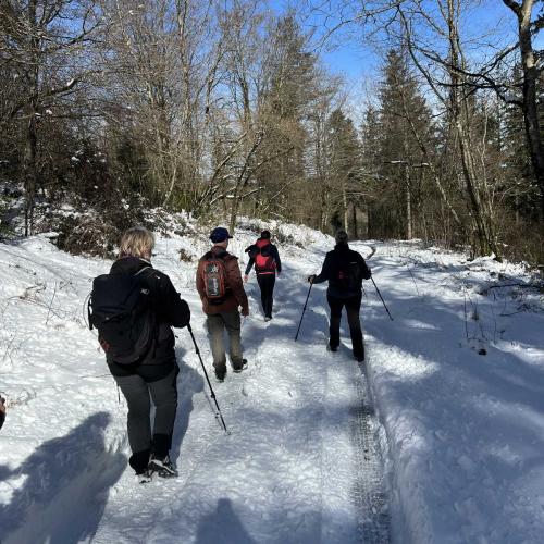 Occitanie Rando Randonnee Roqueredonde Foret Escandorgues Neige 84