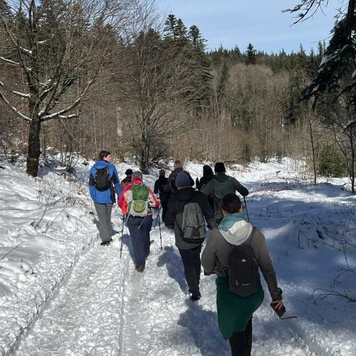 Occitanie Rando Randonnee Roqueredonde Foret Escandorgues Neige 85