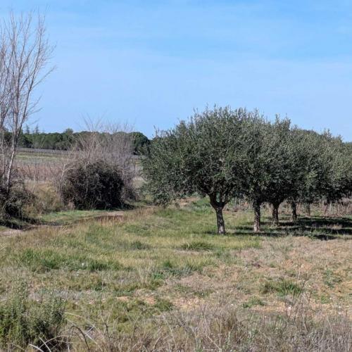 Occitanie Rando Atelier Lecture Carte Orientation 55