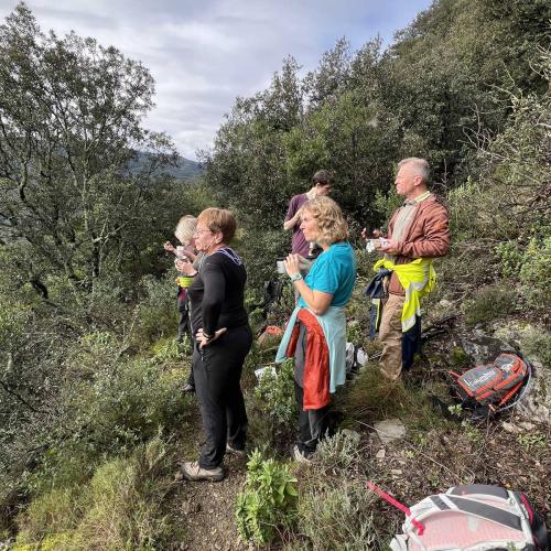Occitanie Rando Bedarieux Pic Tantajo Roc Blanc 21