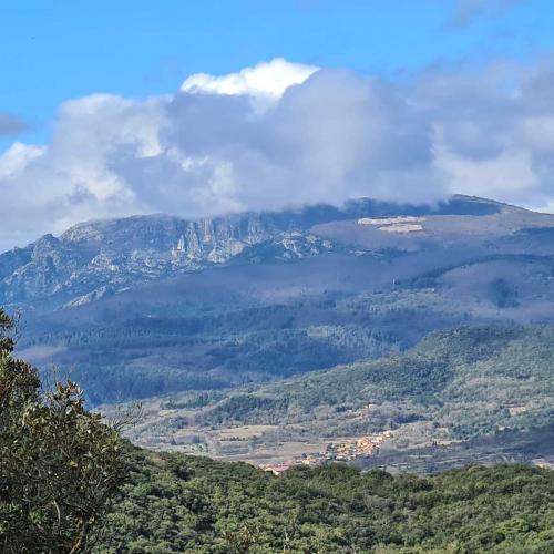 Occitanie Rando Bedarieux Pic Tantajo Roc Blanc 53