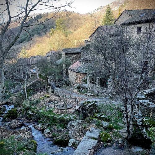 Occitanie Rando Trekkink Espinouse Hameau Bardou Saint Martin Du Froid 139