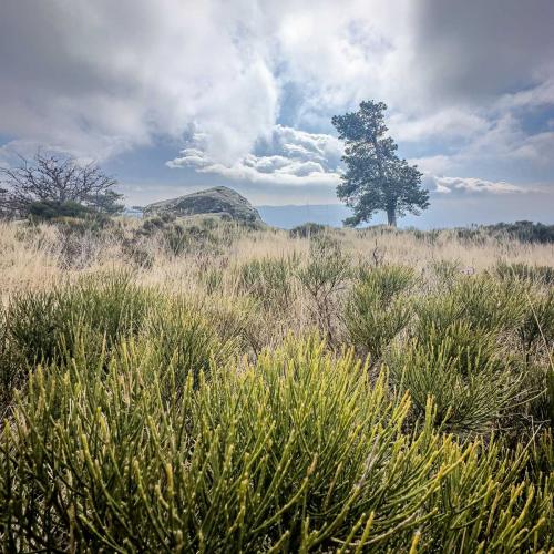 Occitanie Rando Trekkink Espinouse Hameau Bardou Saint Martin Du Froid 151