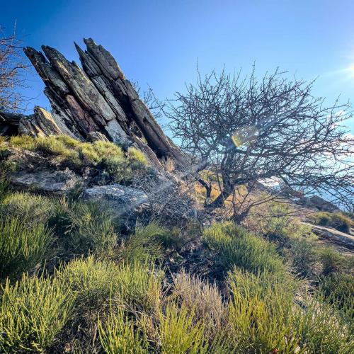 Occitanie Rando Trekkink Espinouse Hameau Bardou Saint Martin Du Froid 154