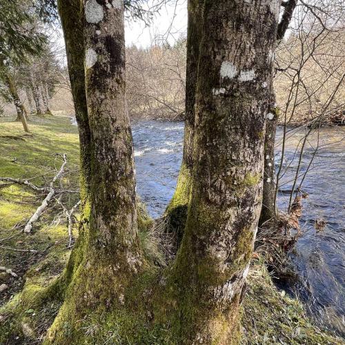 Occitanie Rando Trekkink Espinouse Hameau Bardou Saint Martin Du Froid 67