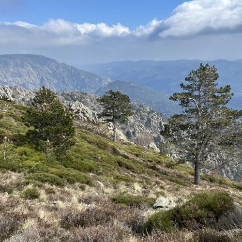 Occitanie Rando Trekkink Espinouse Hameau Bardou Saint Martin Du Froid 99