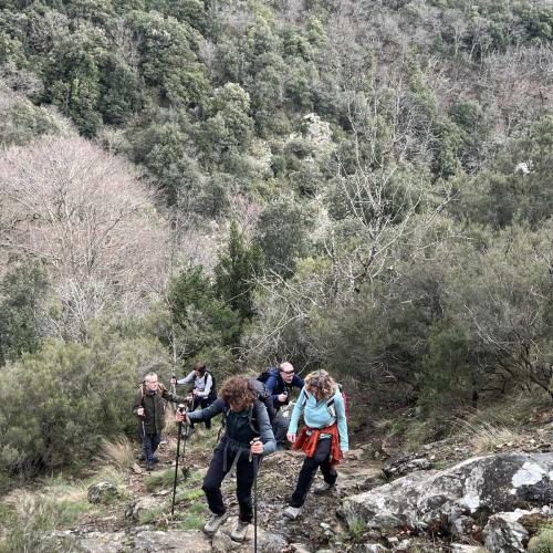 Occitanie Rando Trekking Graissessac Agut Gr653 Padene Mine Simon 32