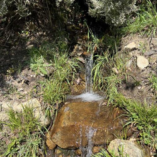 Occitanie Rando Trekking Graissessac Agut Gr653 Padene Mine Simon 81