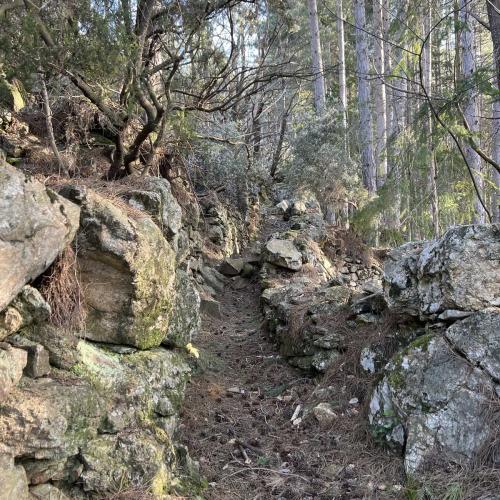 Occitanie Rando Trekking Mons Bardou Heric 03