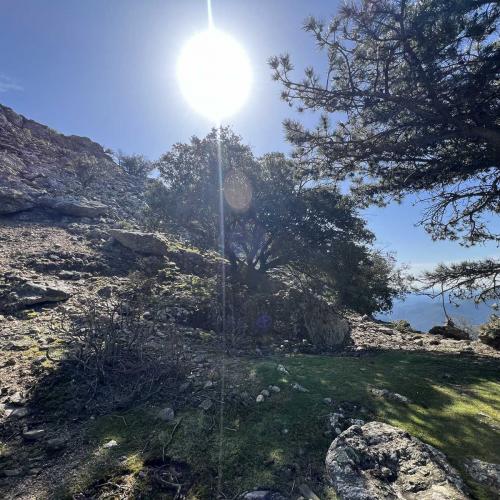 Occitanie Rando Trekking Mons Bardou Heric 35