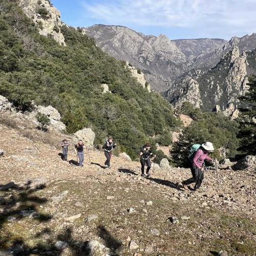 Occitanie Rando Trekking Mons Bardou Heric 37