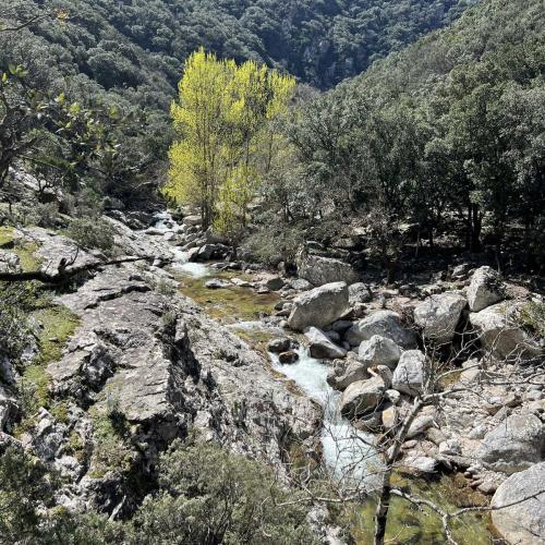 Occitanie Rando Trekking Mons Bardou Heric 71