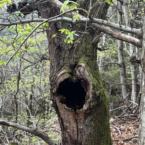 Occitanie Rando Trekking Portail Des Cades 18