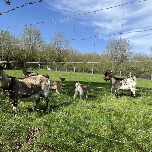 Occitanie Rando Rando Itinerante 3 Jours Lacaune La Salvetat Enfant Sauvage 03