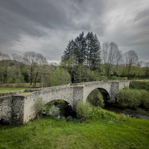 Occitanie Rando Rando Itinerante 3 Jours Lacaune La Salvetat Enfant Sauvage 071