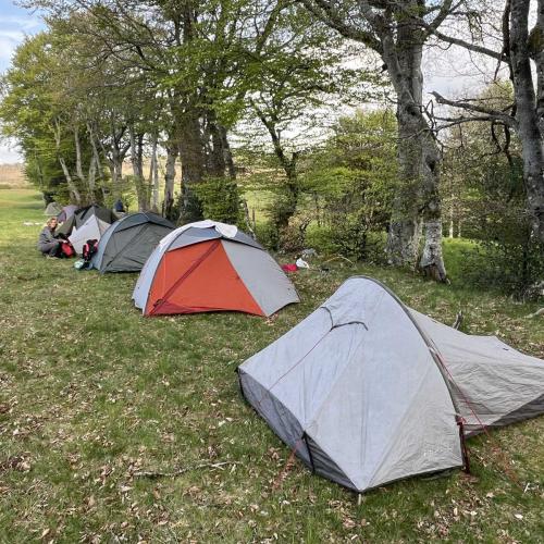 Occitanie Rando Rando Itinerante 3 Jours Lacaune La Salvetat Enfant Sauvage 101