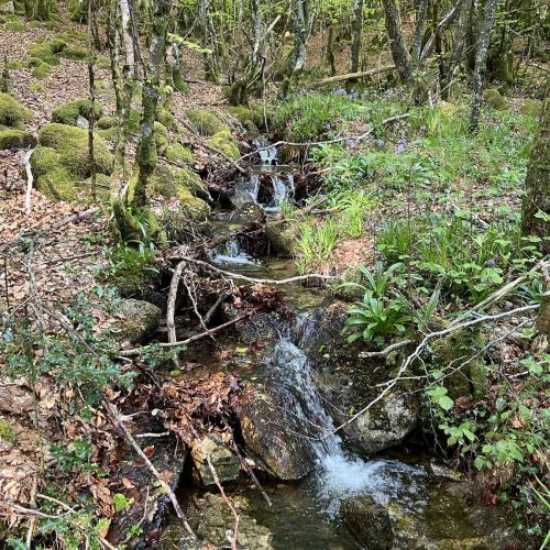 Occitanie Rando Rando Itinerante 3 Jours Lacaune La Salvetat Enfant Sauvage 108