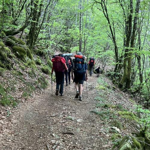 Occitanie Rando Rando Itinerante 3 Jours Lacaune La Salvetat Enfant Sauvage 109