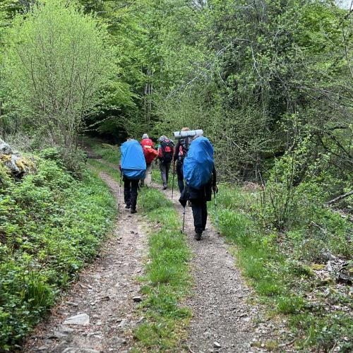 Occitanie Rando Rando Itinerante 3 Jours Lacaune La Salvetat Enfant Sauvage 110