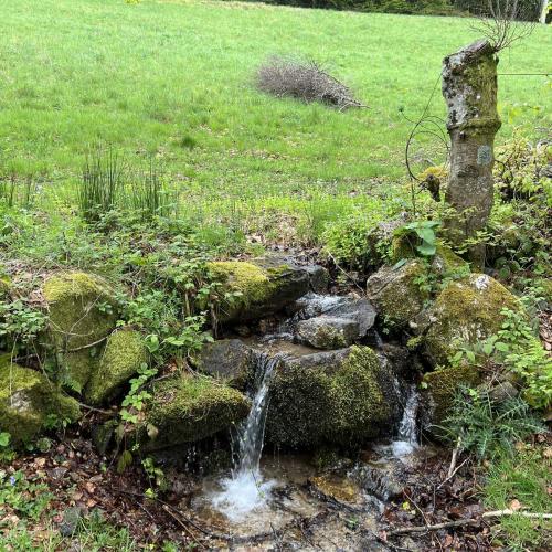 Occitanie Rando Rando Itinerante 3 Jours Lacaune La Salvetat Enfant Sauvage 113