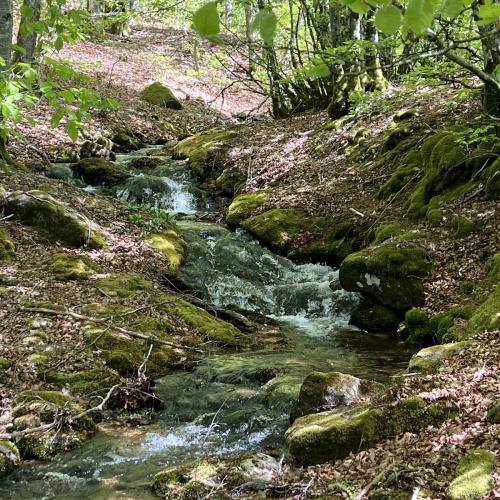 Occitanie Rando Rando Itinerante 3 Jours Lacaune La Salvetat Enfant Sauvage 14