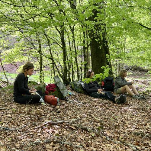 Occitanie Rando Rando Itinerante 3 Jours Lacaune La Salvetat Enfant Sauvage 17